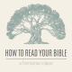 A drawing of a large tree with the text, "how to read your bible, a formation class."