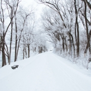 December 8th devo image, a snowy road.