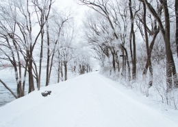 December 8th devo image, a snowy road.