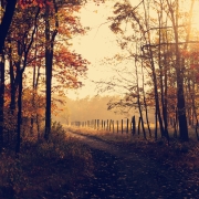 October 15th devo image, a wooden fence along a dirt road.