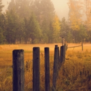 October 14th devo image, a wooden fence in a field.