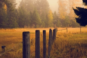 October 14th devo image, a wooden fence in a field.