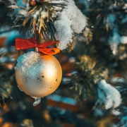 December 7th devo image, a golden ornament on a pinetree.