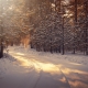 December 30th devo image, a snowy road.