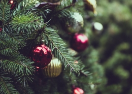 December 21st devo image, Christmas ornaments on a tree.