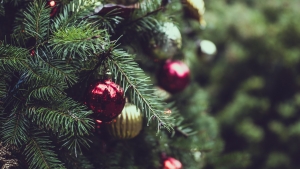 December 21st devo image, Christmas ornaments on a tree.